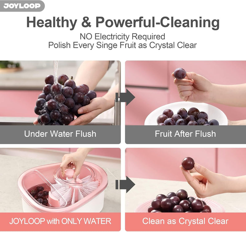 Fruit Washer