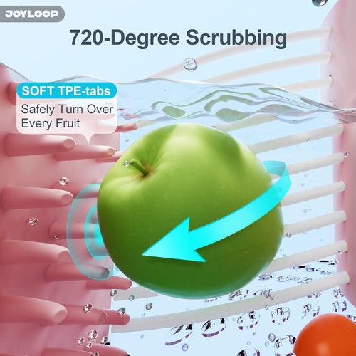 Fruit Washer