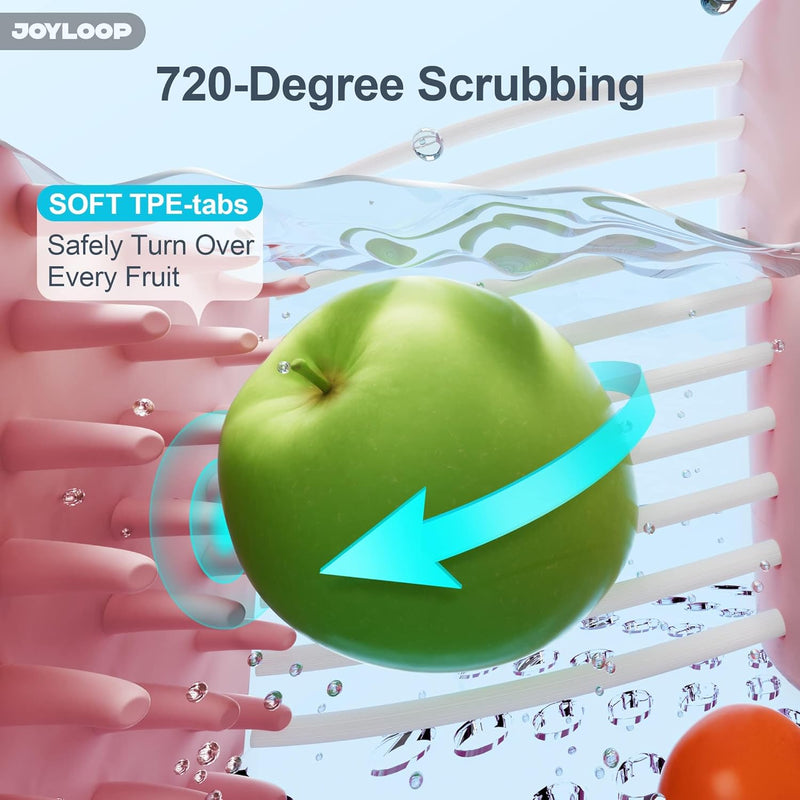Fruit Washer