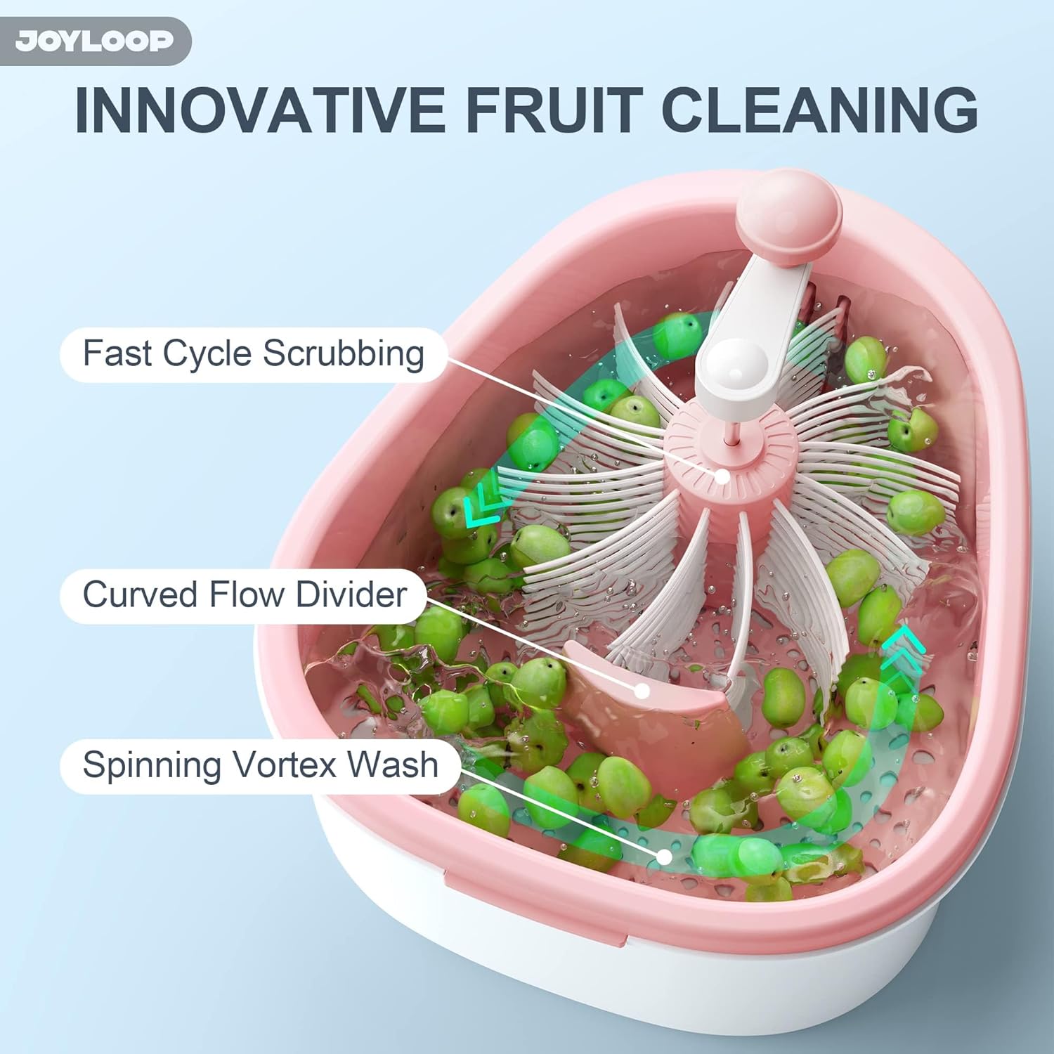 Fruit Washer