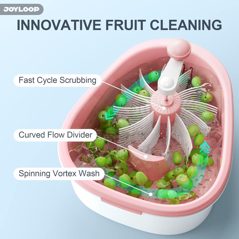 Fruit Washer