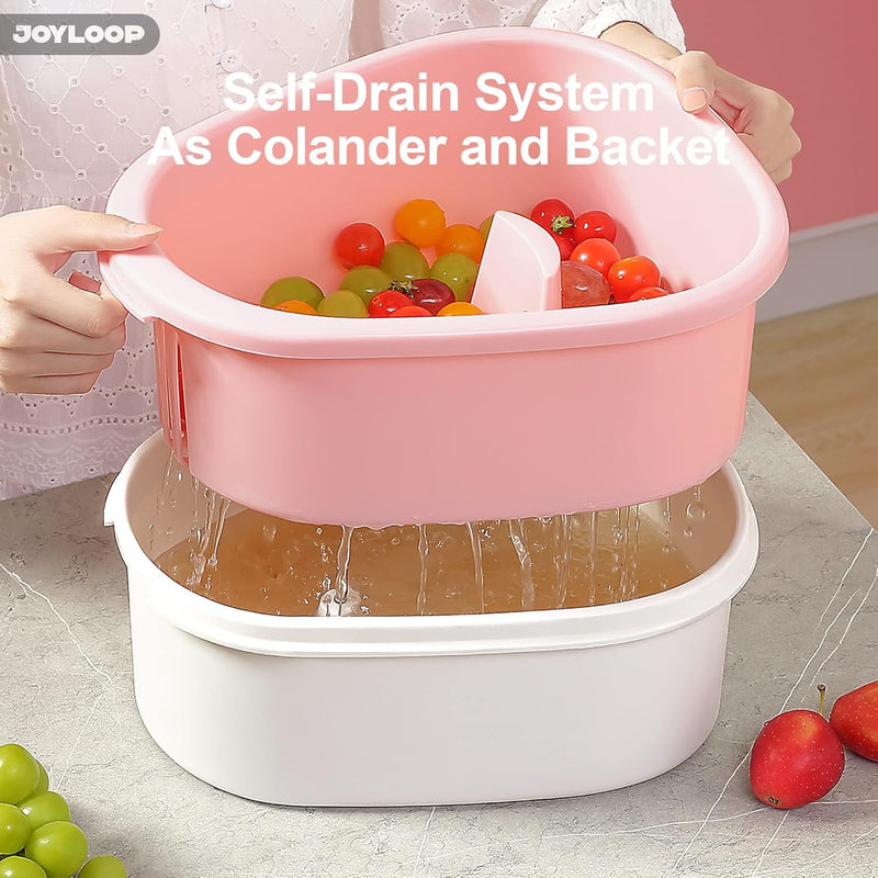 Fruit Washer