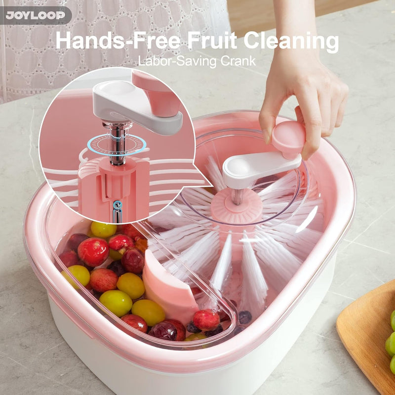 Fruit Washer