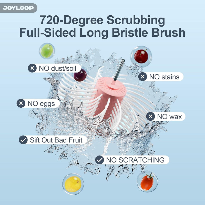 Fruit Washer